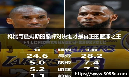 8868体育官网